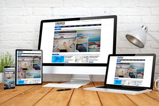 京东小皮二手商品专营店平板电脑评测 计算机软硬件及辅助设备批发视角